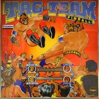 Image # 65495: Tag-Team Pinball Backglass
