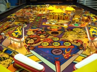 Image # 66965: Tag-Team Pinball Low Level Playfield View