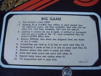 Image # 33514: Big Game Instruction Card