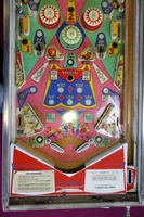 Image # 46835: Teacher's Pet Lower Playfield