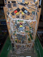 Image # 28954: Tee'd Off Under Playfield