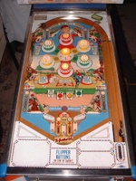 Image # 24320: Thoro-Bred Illuminated Playfield