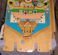 Image # 41176: Thoro-Bred Lower Stripped Playfield