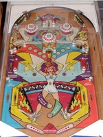 Image # 12262: Thunderbolt Playfield