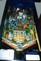 Image # 246: Big House Playfield