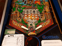 Image # 75671: Big House Lower Playfield - Plastics Removed
