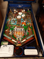 Image # 75672: Big House Illuminated Playfield