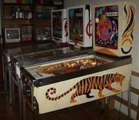 Image # 33175: Tiger Cabinet - Right