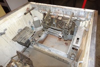 Image # 68885: Tiger Inside Cabinet - Front