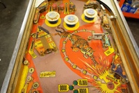 Image # 68872: Tiger Upper Playfield