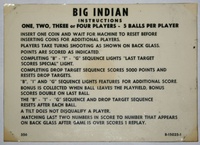 Image # 34910: Big Indian Instruction Card (5 Ball)