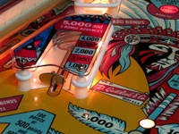 Image # 38663: Big Indian Playfield - Detail