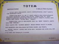 Image # 30792: Totem Instruction Card