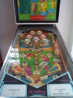 Image # 7410: Touchdown Playfield