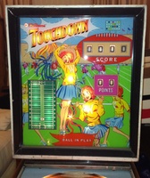 Image # 59334: Touchdown Illuminated Backglass
