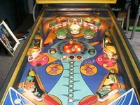 Image # 13858: Triple Action Playfield