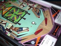 Image # 8097: Tropic Fun Lower Playfield