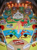 Image # 23270: Tropic Isle Playfield