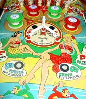 Image # 28896: Tropic Isle Playfield - Detail