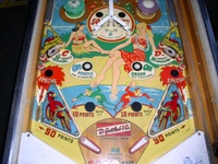 Image # 18588: Tropic Isle Lower Playfield