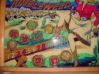 Image # 45336: Tumbleweed Lower Backglass