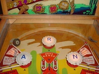 Image # 45338: Tumbleweed Upper Playfield
