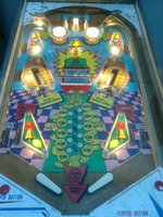 Image # 45100: Twin-Gain Illuminated Playfield