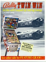 Image # 3906: Twin Win Flyer, Front