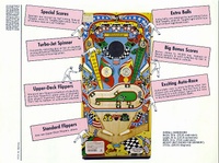 Image # 3907: Twin Win Flyer, Back