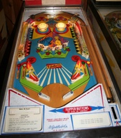 Image # 39357: 2001 Illuminated Playfield 
(Serial number 05430.)