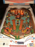 Image # 18822: 2 in 1 Illuminated Playfield