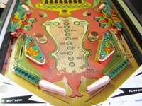 Image # 70656: Valencia Lower Playfield 
(Serial number 232856.)
