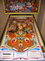 Image # 26856: Wild Fyre Playfield 
(The spinning target shown in this image is not original to this game.)