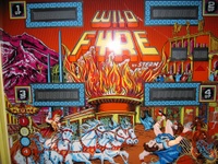 Image # 26851: Wild Fyre Backglass Detail