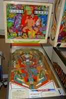 Image # 38774: Wild Life Cabinet - Front View