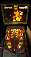 Image # 33457: Wild Life Illuminated Front View 
(The spinning target on this game should have a 'lion' design.)