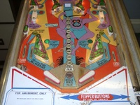 Image # 15484: Wild Life Lower Playfield 
(The spinning target on this game should have a 'lion' design.)
