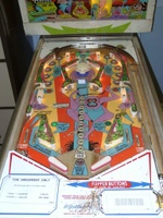 Image # 15485: Wild Life Playfield 
(The spinning target on this game should have a 'lion' design.)