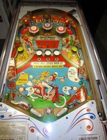 Image # 57989: Wild Wheels Playfield