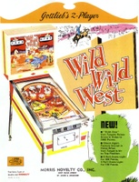 Image # 4967: Wild Wild West Flyer