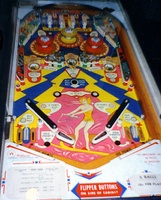 Image # 2656: Wing Ding Playfield