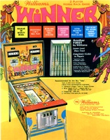 Image # 4393: Winner Flyer