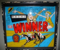 Image # 43227: Winner Backglass
