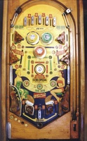 Image # 7568: Wishing Well Playfield
