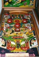 Image # 2679: Wonderland Playfield