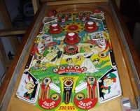 Image # 17580: Wonderland Playfield