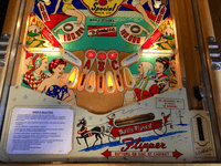 Image # 76312: World Beauties Illuminated Lower Playfield 
(Serial number B12674 S.)