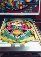 Image # 8599: World Cup Playfield