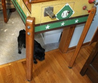 Image # 62562: Yanks Legs