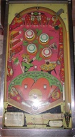 Image # 7030: Zip-A-Doo Playfield